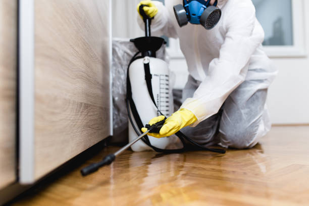 Best Pest Control for Homes  in USA